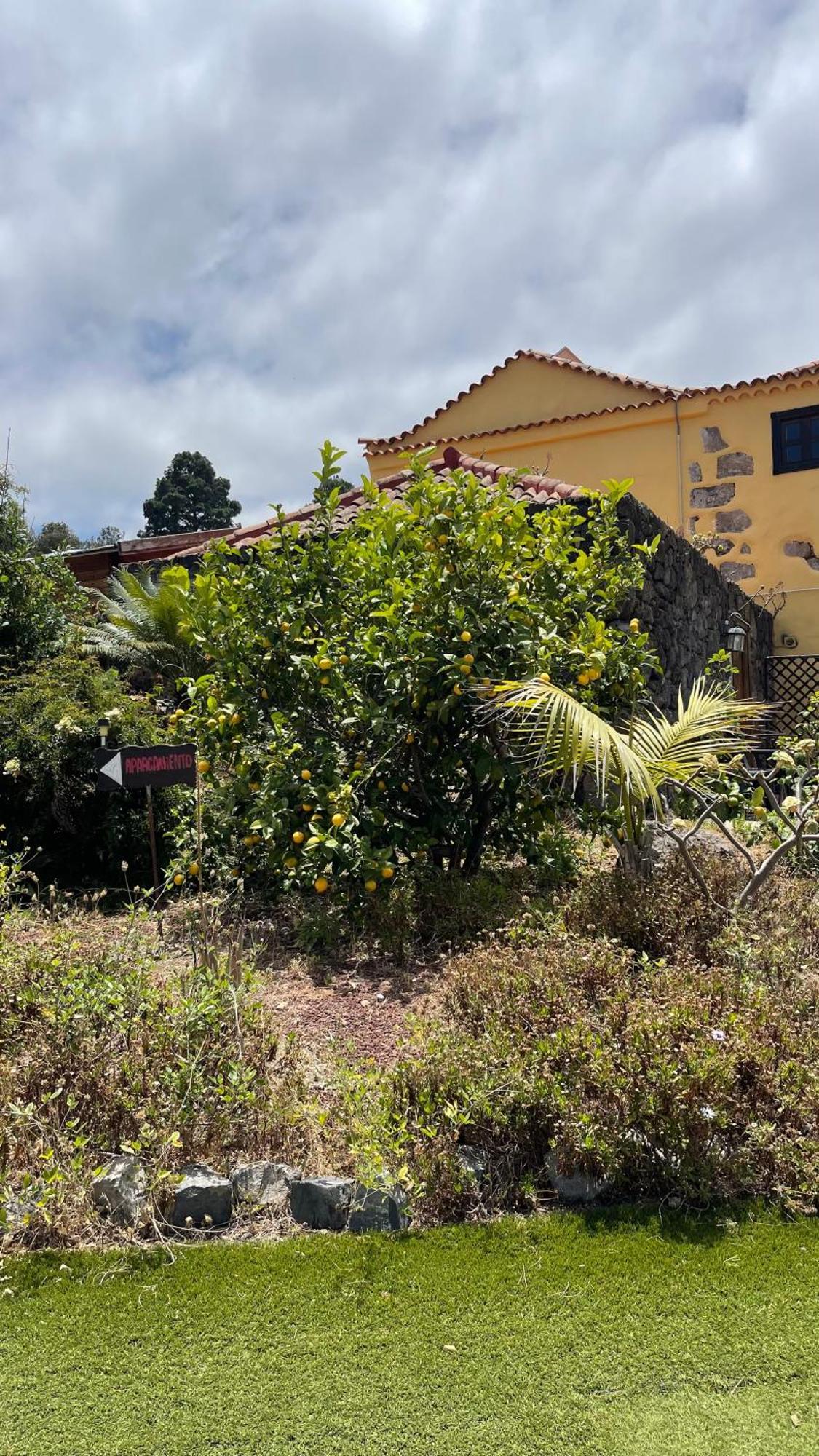 Casonas De Marengo Guest House Icod De Los Vinos Exterior foto